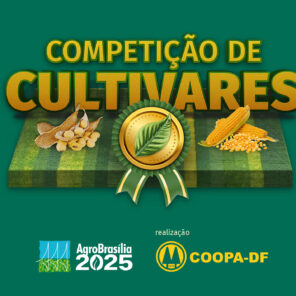 competicao-cultivares