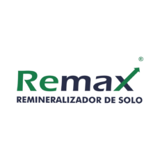 remax