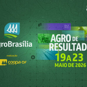2026-02-26_Campanha
