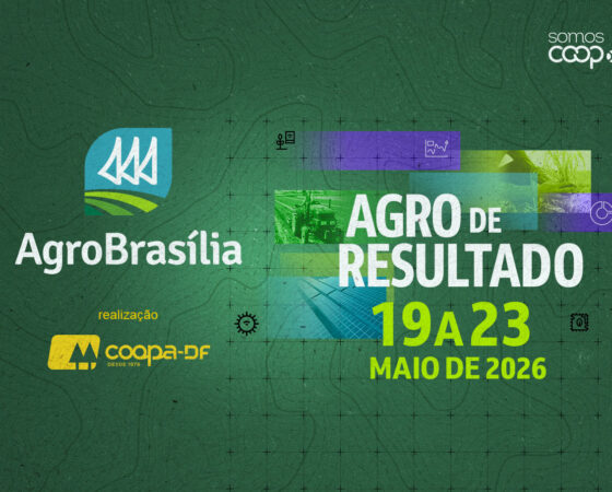 2026-02-26_Campanha