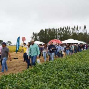 26-02-20 02 Dia_de_Campo