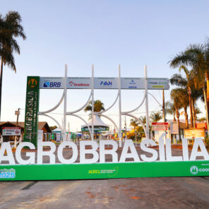 26-04-02_ release 100 dias