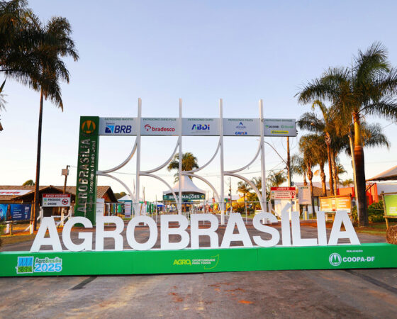 26-04-02_ release 100 dias