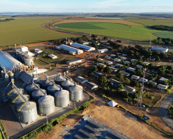 AgroBrasília. DF, 24/05/2024 - Foto Wenderson Araujo/Trilux