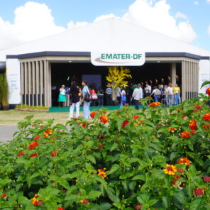 26-05-12_Emater release