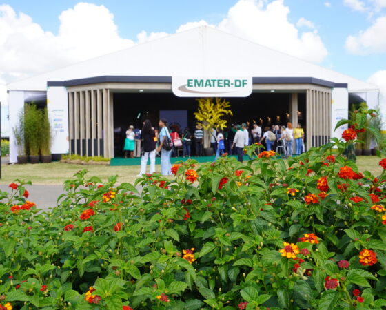 26-05-12_Emater release